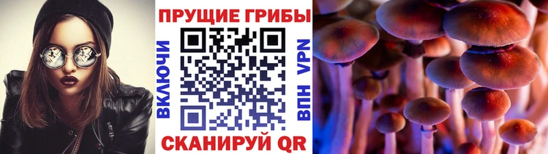 Галлюциногенные грибы мухоморы  где продают наркотики  Белокуриха 